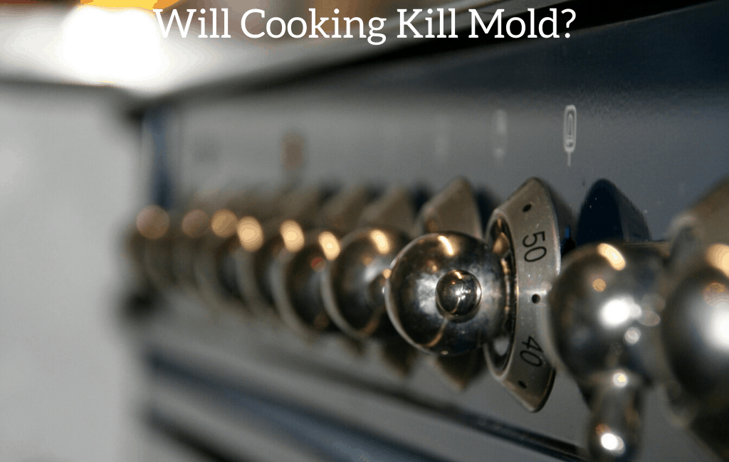 Will Cooking Kill Mold?